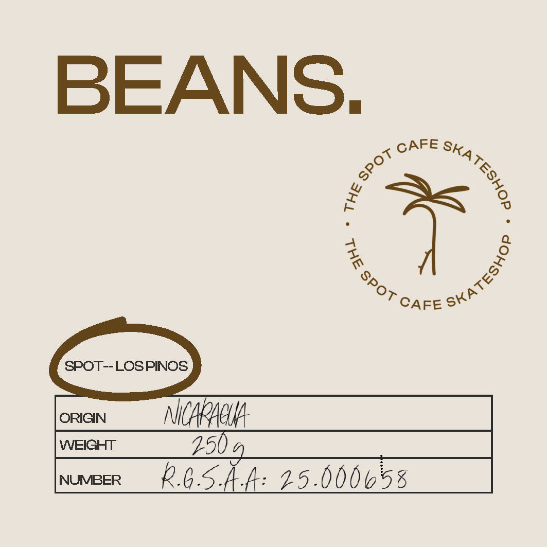 Beans — Spot: Los Pinos (Nicaragua)