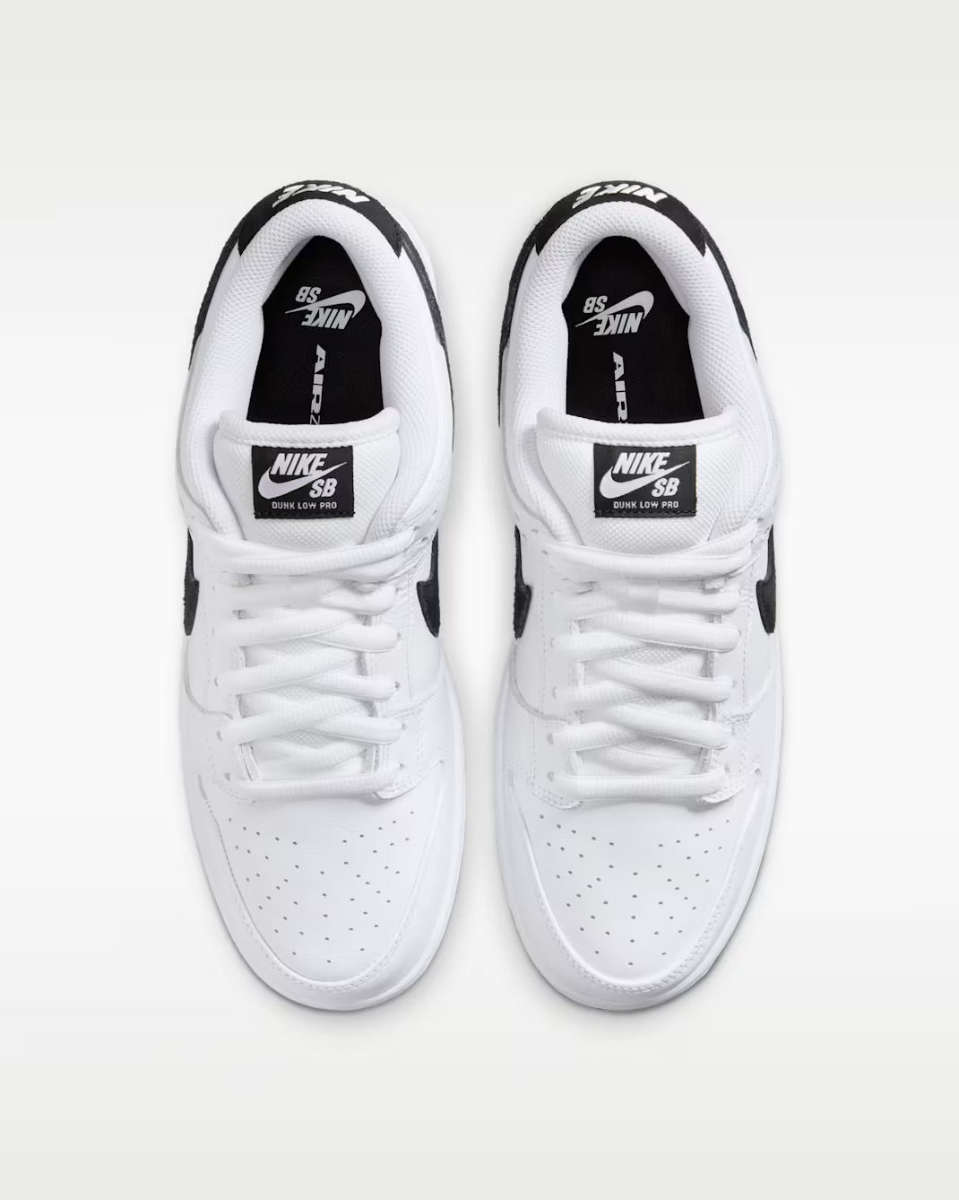 Dunk SB Low Pro